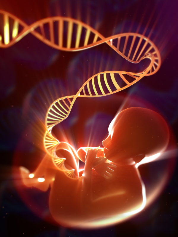 fertility-and-conception