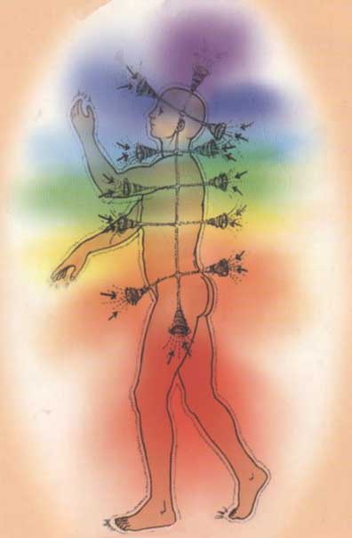 5._chakras2.jpg 5._chakras2.jpg
