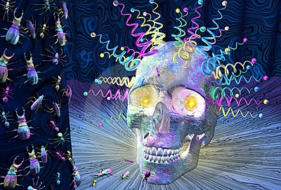 9. astral insects