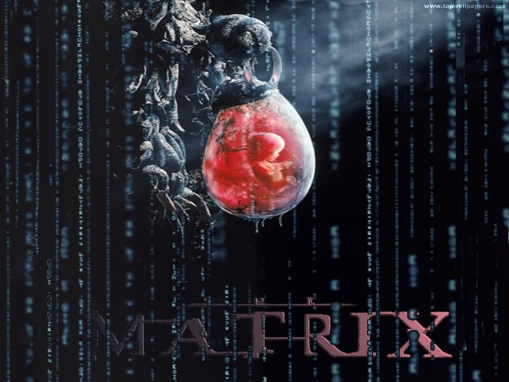 4. matrix