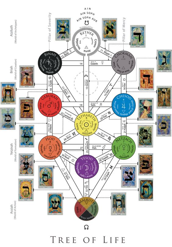 tree of life